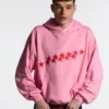PRODUCTO 5 D STARS HOODIE PANTHER PINK